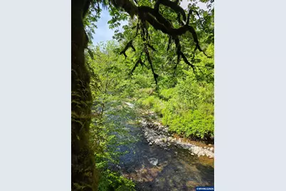 Lot 500 Lewis Cemetery Rd, Silverton, OR 97381 - Photo 2