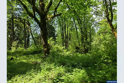 Lot 500 Lewis Cemetery Rd, Silverton, OR 97381 - Photo 4