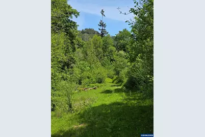 Lot 500 Lewis Cemetery Rd, Silverton, OR 97381 - Photo 8