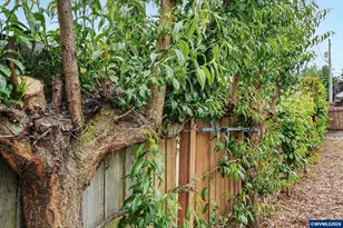 3742 Shady Ct NE, Keizer, OR 97303 - Photo 46