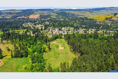 Parcels # 0721288 &amp; #0721296 Rd SW, Lyons, OR 97358 - Photo 2