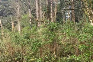 Tl 1000 SE 54th Dr, Lincoln City, OR 97367 - Photo 1