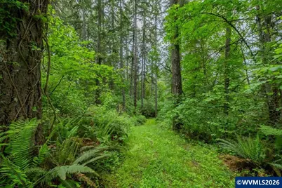 Ta 0057485 Next To 40587 Rd, Lebanon, OR 97355 - Photo 16