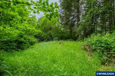 Ta 0057485 Next To 40587 Rd, Lebanon, OR 97355 - Photo 20
