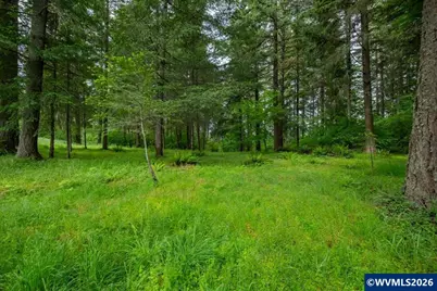 Ta 0057485 Next To 40587 Rd, Lebanon, OR 97355 - Photo 36