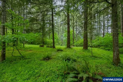 Ta 0057485 Next To 40587 Rd, Lebanon, OR 97355 - Photo 6