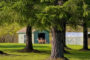 34296 Bond Rd, Lebanon, OR 97355 - Photo 48