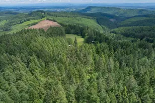 23161 Old Peak Rd, Philomath, OR 97370 - Photo 48