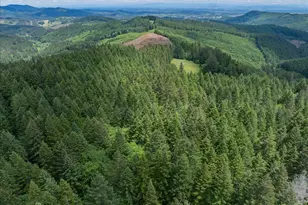 23161 Old Peak Rd, Philomath, OR 97370 - Photo 46