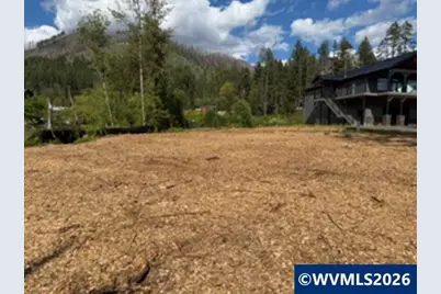 310 Detroit (Next To) Rd S, Detroit, OR 97342 - Photo 2