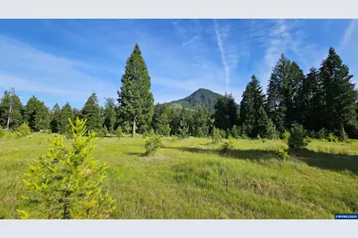 54841 McKenzie River Dr, Blue River, OR 97413 - Photo 34