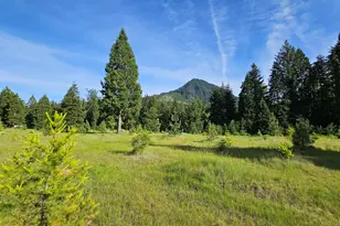 54841 McKenzie River Dr, Blue River, OR 97413 - Photo 34