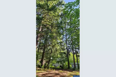 54841 McKenzie River Dr, Blue River, OR 97413 - Photo 36