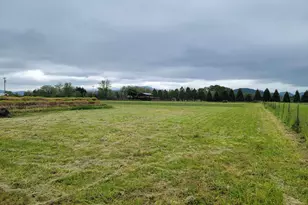 0 Undisclosed Hwy, Brownsville, OR 97327 - Photo 14