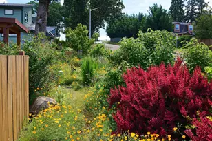 1255 Reserve St, Silverton, OR 97381 - Photo 50