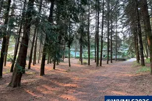 6135 Skyline Rd S, Salem, OR 97306 - Photo 34