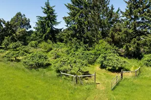 27777 Snyder Rd, Junction City, OR 97448 - Photo 48