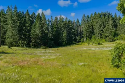 41388 Keel Mountain Dr, Lebanon, OR 97355 - Photo 14