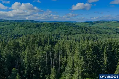 41388 Keel Mountain Dr, Lebanon, OR 97355 - Photo 16