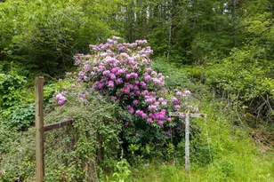 17024 Bratten Hill, Alsea, OR 97324 - Photo 18