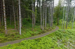 17024 Bratten Hill, Alsea, OR 97324 - Photo 16
