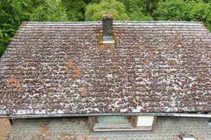 17024 Bratten Hill, Alsea, OR 97324 - Photo 20