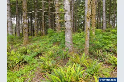 17024 Bratten Hill, Alsea, OR 97324 - Photo 36