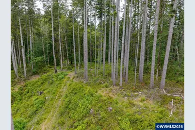 17024 Bratten Hill, Alsea, OR 97324 - Photo 10