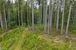 17024 Bratten Hill, Alsea, OR 97324 - Photo 10