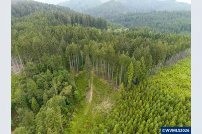 17024 Bratten Hill, Alsea, OR 97324 - Photo 8