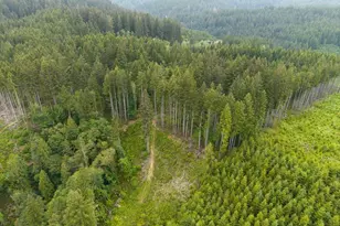 17024 Bratten Hill, Alsea, OR 97324 - Photo 8