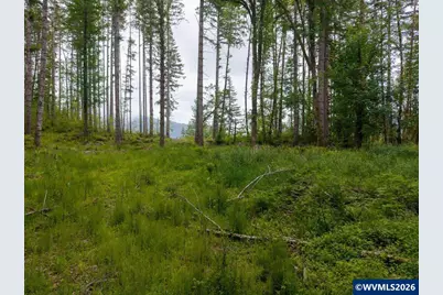 17024 Bratten Hill, Alsea, OR 97324 - Photo 14