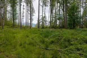 17024 Bratten Hill, Alsea, OR 97324 - Photo 14