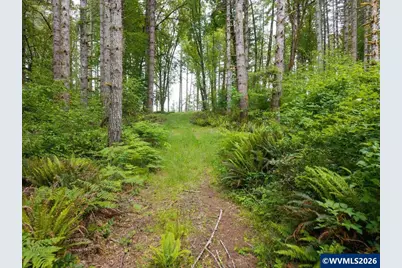 17024 Bratten Hill, Alsea, OR 97324 - Photo 12