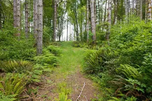 17024 Bratten Hill, Alsea, OR 97324 - Photo 12