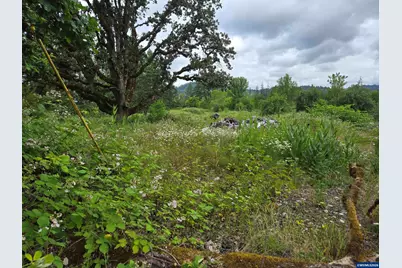 Tl 2801 2802 Cascade Dr, Lebanon, OR 97355 - Photo 1