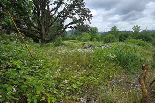 Tl 2801 2802 Cascade Dr, Lebanon, OR 97355 - Photo 1