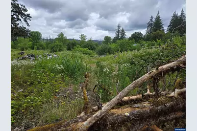 Tl 2801 2802 Cascade Dr, Lebanon, OR 97355 - Photo 4