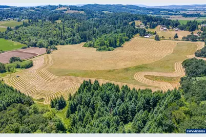 0 SE Lafayette Hwy, Dayton, OR 97114 - Photo 2