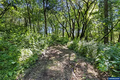 Ta 0045886 NE Santiam Wy, Albany, OR 97322 - Photo 4