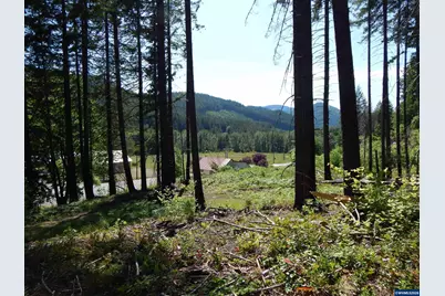 Lot 900 &amp; 1000 N Santiam Hwy, Idanha, OR 97350 - Photo 30