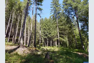 Lot 900 &amp; 1000 N Santiam Hwy, Idanha, OR 97350 - Photo 40