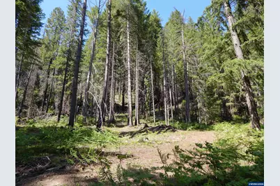 Lot 900 &amp; 1000 N Santiam Hwy, Idanha, OR 97350 - Photo 44