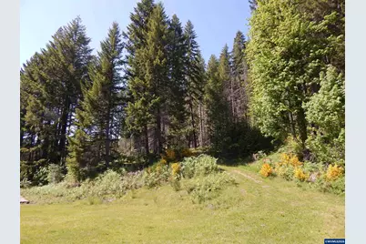 Lot 900 &amp; 1000 N Santiam Hwy, Idanha, OR 97350 - Photo 12