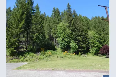 Lot 900 &amp; 1000 N Santiam Hwy, Idanha, OR 97350 - Photo 8
