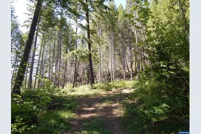 Lot 900 &amp; 1000 N Santiam Hwy, Idanha, OR 97350 - Photo 16