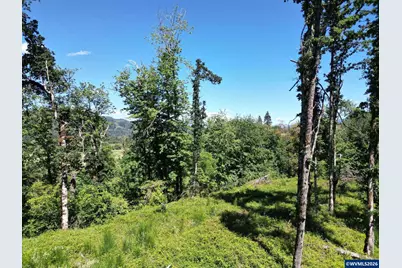 Tl 2702 &amp; 2703 S Cedar Mill Rd, Lyons, OR 97358 - Photo 12