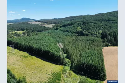 Tl 2702 &amp; 2703 S Cedar Mill Rd, Lyons, OR 97358 - Photo 10