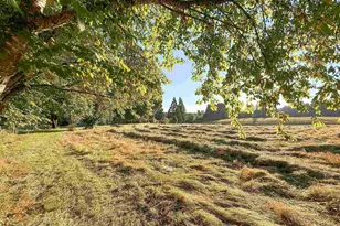 39800 Mertz Dr SE, Stayton, OR 97383 - Photo 32