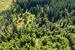 17016 Bratten Hill, Alsea, OR 97324 - Photo 22